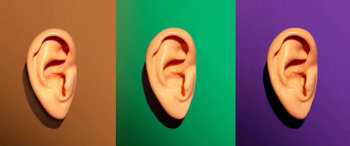 Five Interesting Facts About Audien Hearing and Hearing Loss Under Age 65