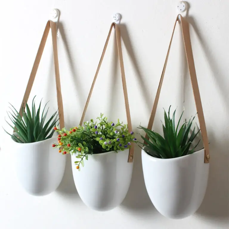 Tips for Hanging Pots Care