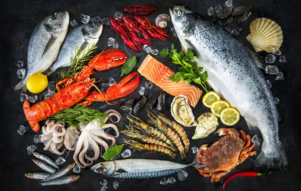 Top 4 Healthy Seafood