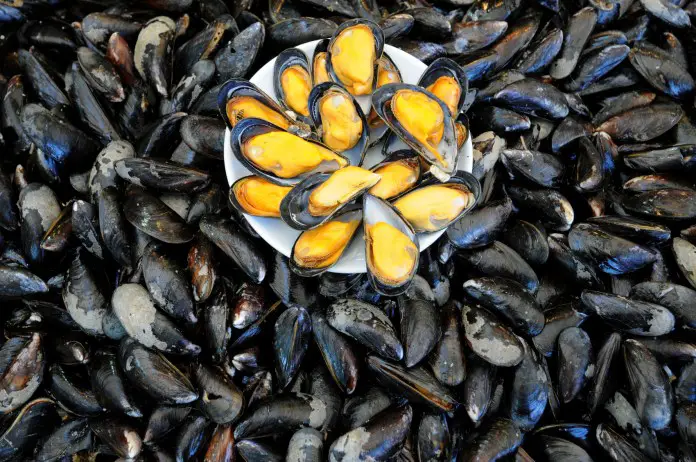 Top 10 Health Benefits of Mussels