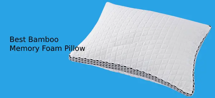 Best Bamboo Memory Foam Pillow