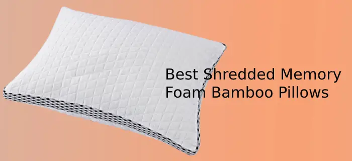 Best Shredded Memory Foam Bamboo Pillows