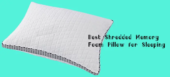 Best Shredded Memory Foam Pillows for Sleeping