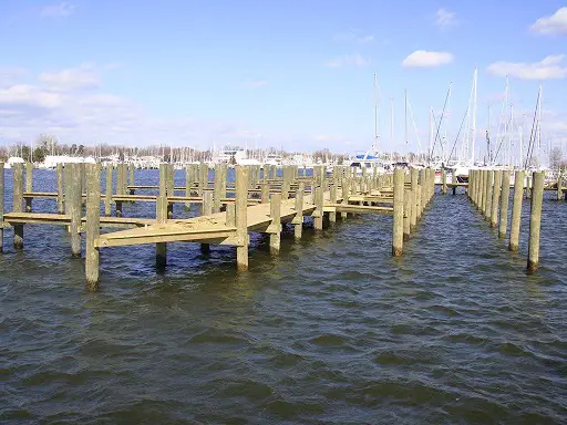 Understand the Finest Services for Dock Piling Wrap in Tampa Bay