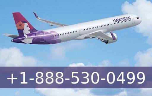 Contact Hawaiian Airlines Reservations Customer Service for Instant Support
