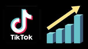 Best TikTok Analytics Tips To Expand Your Brands Success