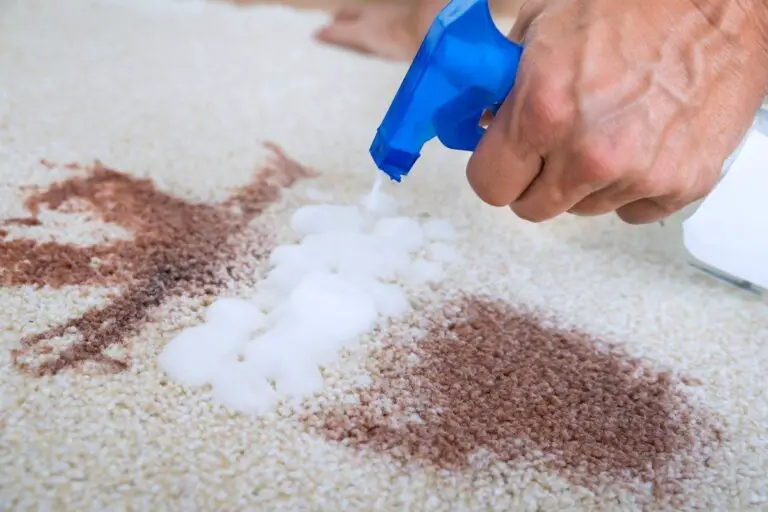 Main Categories of Carpet Cleaning Procedure