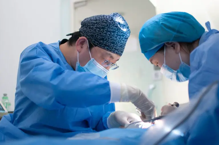 Liver Transplant Surgery: Cost, Procedure, and Success Rate