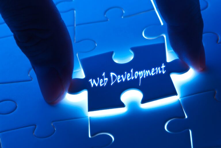 Custom Web Site & Web Application Development Company – Meeraki CS