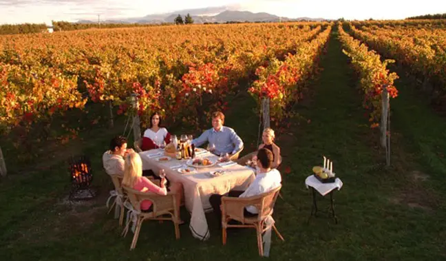 Experience the convenance of New Zealand custom excursions