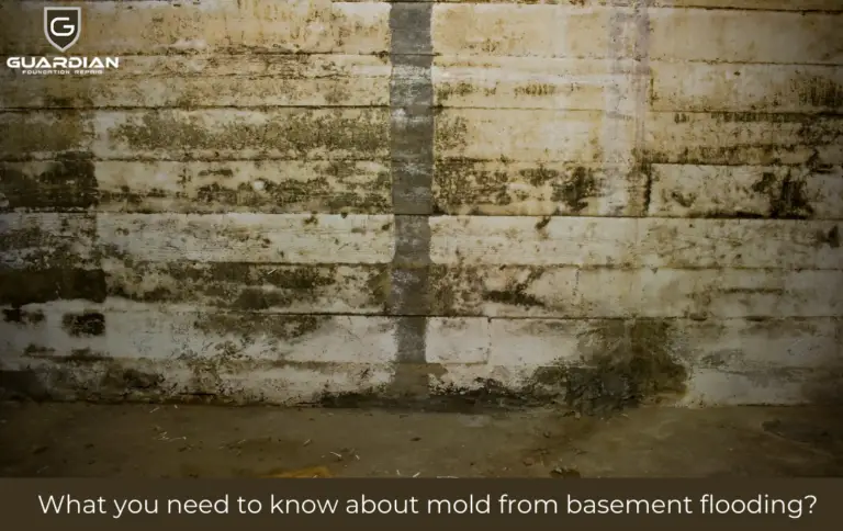 What you need to know about mold from basement flooding?
