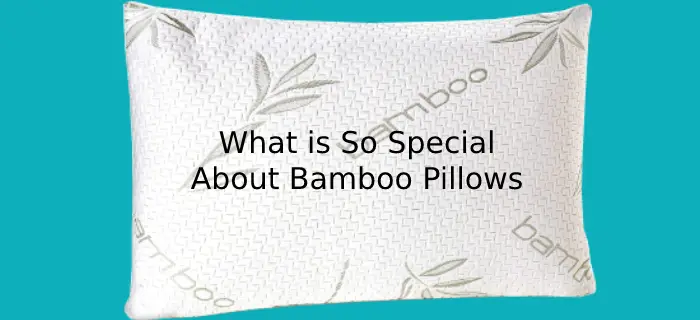 What is So Special About Bamboo Pillows?