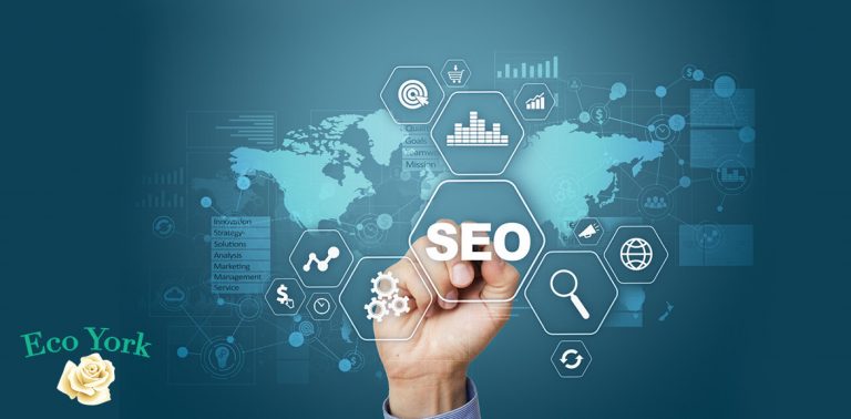 5 Reasons Why SEO Is Important For Your Business