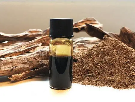 Agarwood Facts and Health Benefits- Things You Need to Know