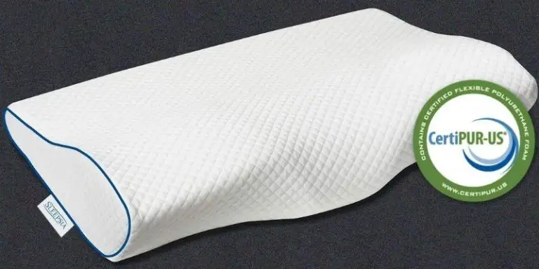 Best Cervical Pillow of 2021