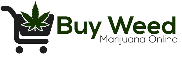 Top rated 6 Strategies for Tips on how to Invest in Weed Online