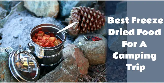 Best Freeze Dried Food For A Camping Trip