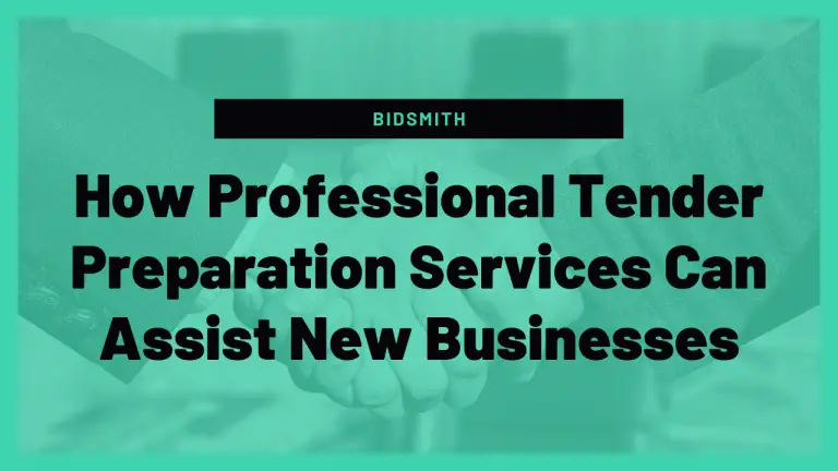 How Professional Tender Preparation Services Can Assist New Businesses