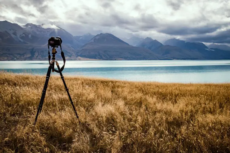 7 Tips on How to Take Great Nature Photo