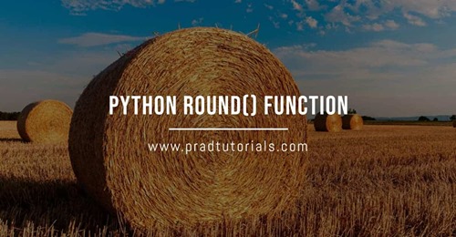 Python round function