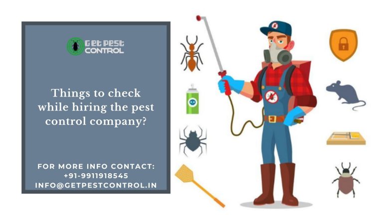 What are the things to check while hiring the pest control company?