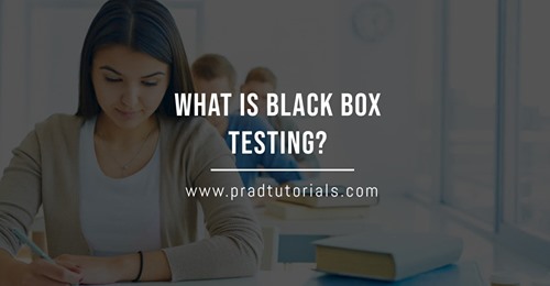 Black-box testing