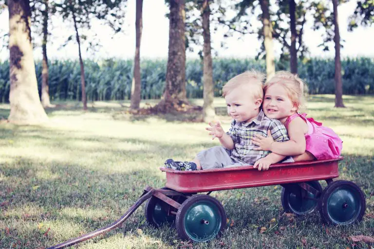 Utility wagon | gardening and chores made easy!