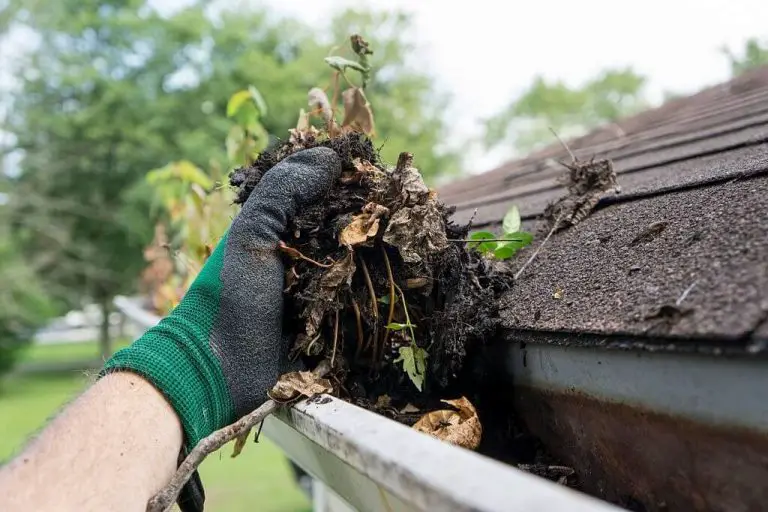 Achieve the best gutter cleaning resulting by implementing simple tricks