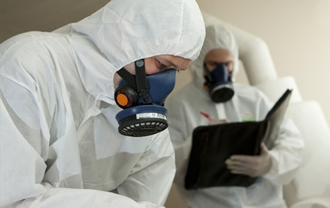 How Can an Asbestos Consultant Help You?