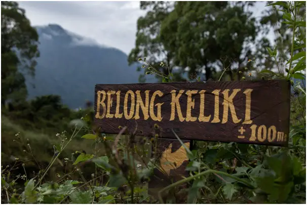 A Rainy Day in Kintamani