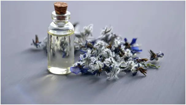 What Are Necessary Aromatherapy Oils?