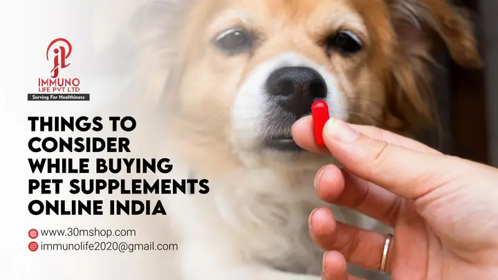 Things To Consider While Buying Pet Supplements Online India