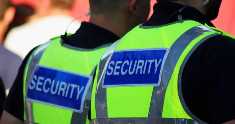 WHAT IS THE ROLE OF ARMED SECURITY SERVICES?