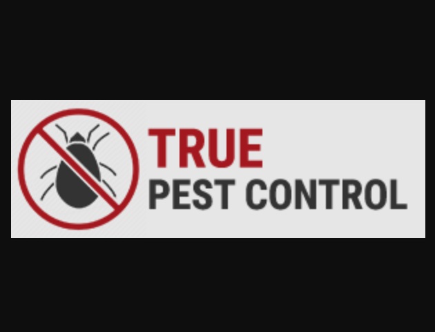 Control Pests With Productive Pest Control Services