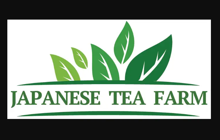 The Different Varieties of Japanese Green Tea Explained