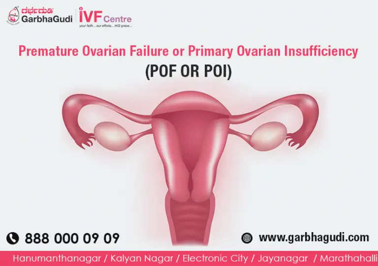 What is POF (Premature Ovarian Failure)