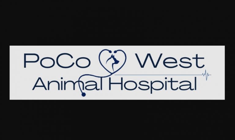 Locating A Pet Hospital