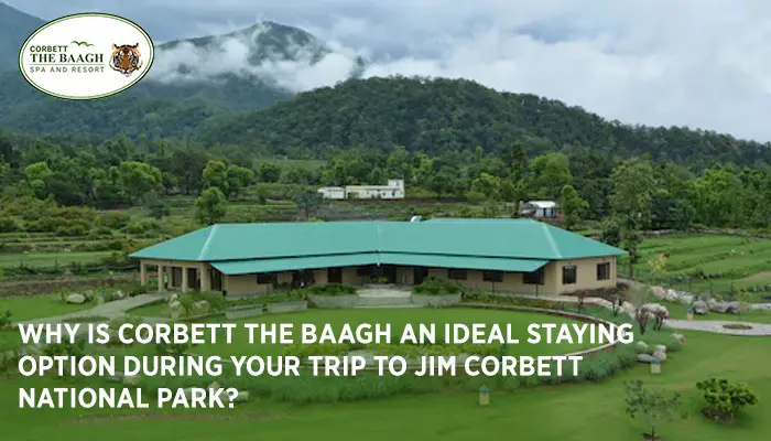 Why is Corbett the Baagh an Ideal Staying Option During Your Trip to Jim Corbett National Park?