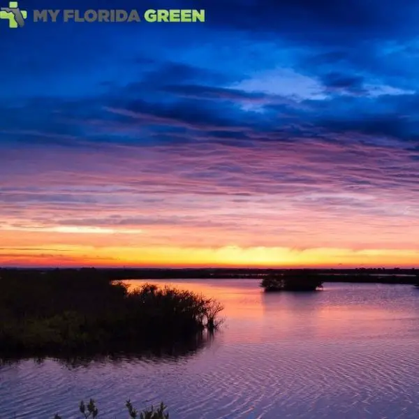 Merritt Island Residents Use My Florida Green for Medical Marijuana