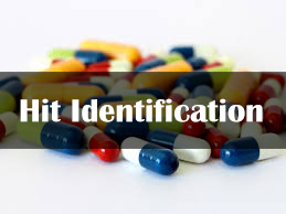 Hit Identification in Drug Discovery