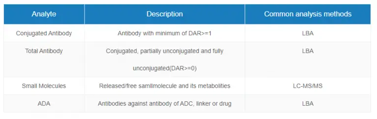 Antibody-Drug-Antibody (ADC)