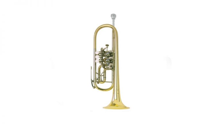 Advantages of Shopping Musical Equipment Online