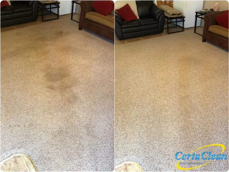 Reliable Carpet Cleaning Services – What Does It Involve