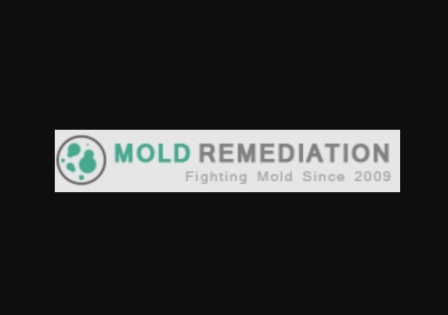 Advantages of Mold Remediation