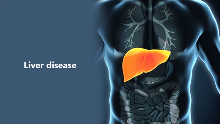 Liver Diseases: Two Rarest Types of Liver Diseases to Know About