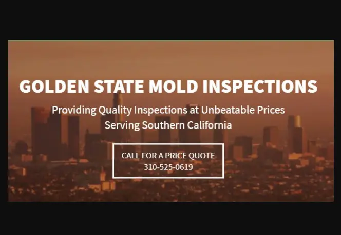 Mold Inspection – What exactly is Involved?