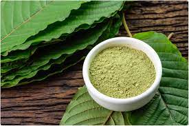 Kratom vendors  Has Lot To Offer In Quick Time