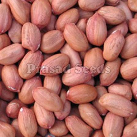 Boost Your Energy Levels with Quality Groundnut Kernels