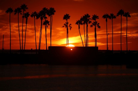 How San Diego Boat Tours are so much sensational?