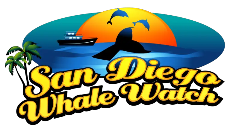 Why is the best time for whale watching in San Diego better?